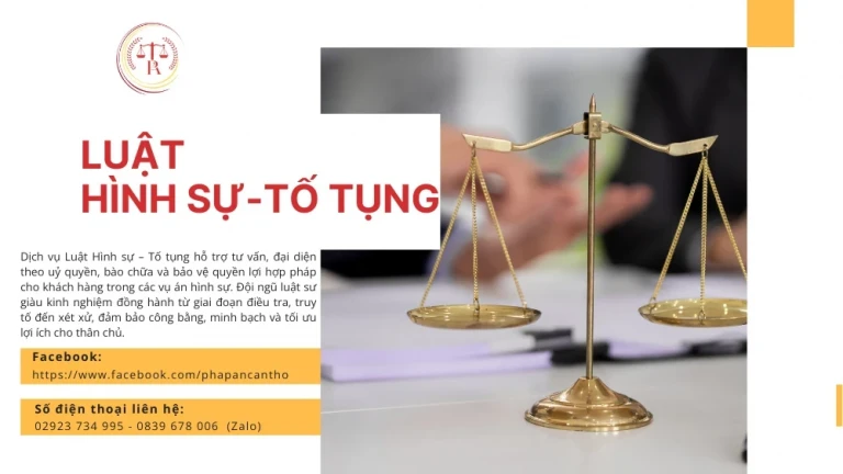 dich-vu-luat-hinh-su-to-tung