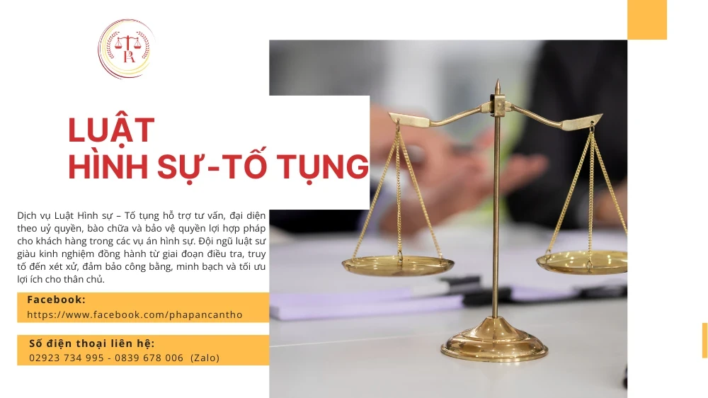 dich-vu-luat-hinh-su-to-tung