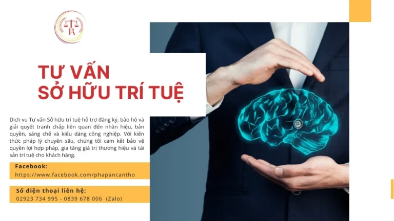 dich-vu-tu-van-so-huu-tri-tue
