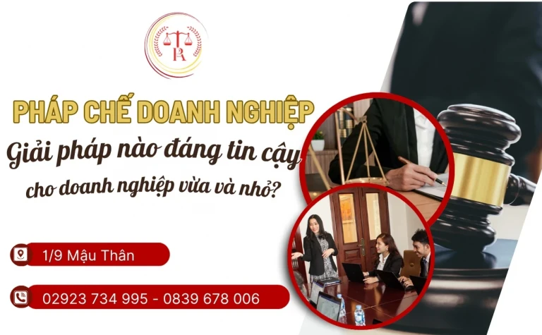 phap che doanh nghiep giai phap nao phu hop